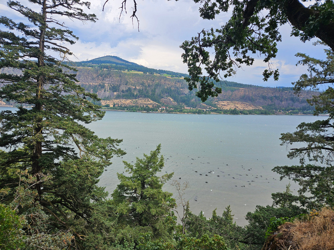 Columbia Gorge Hotel & Spa主图