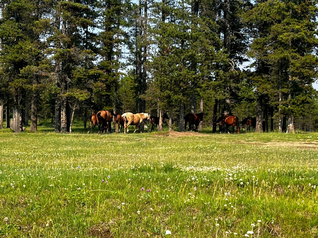 Mukwah Rafting Tours Day Tours-桑德必去景点