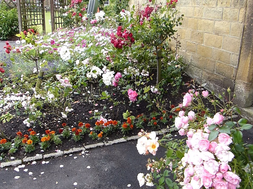 Bath Gardens景点图片