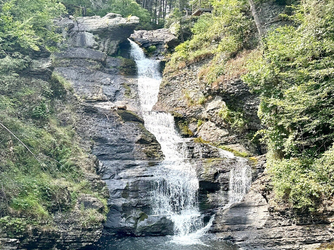 Raymondskill Falls景点图片