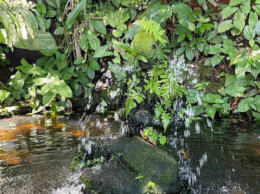 Spa Tendacayou-Deshaies必去景点