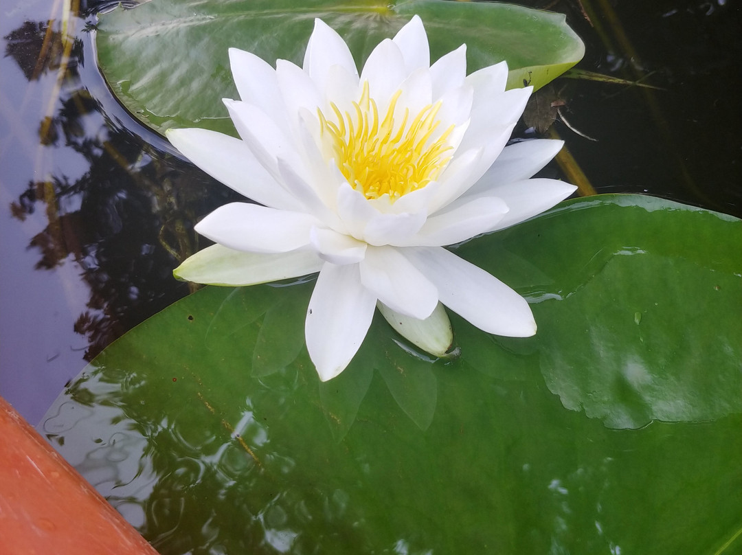 Kayak Safari-Huntingdon必去景点