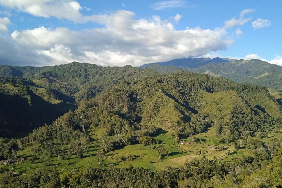 Ecoparque the Mirador Alto De La Cruz-萨伦托必去景点