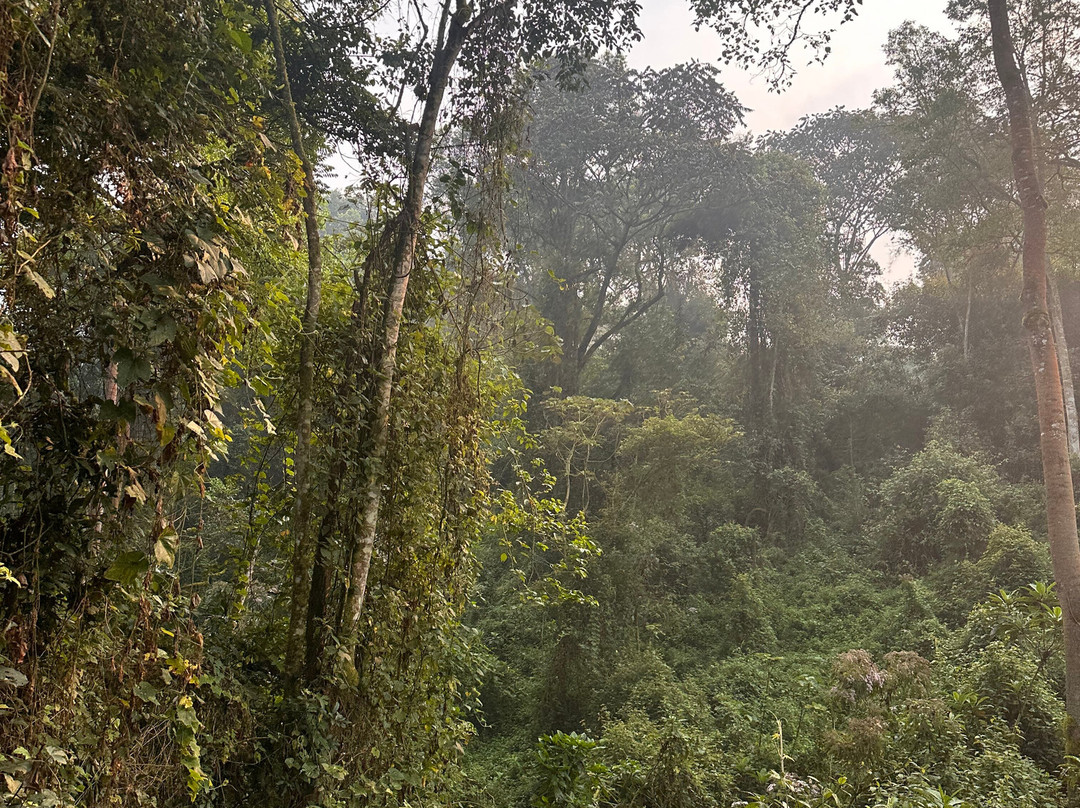 Nyati Hill Cottages主图