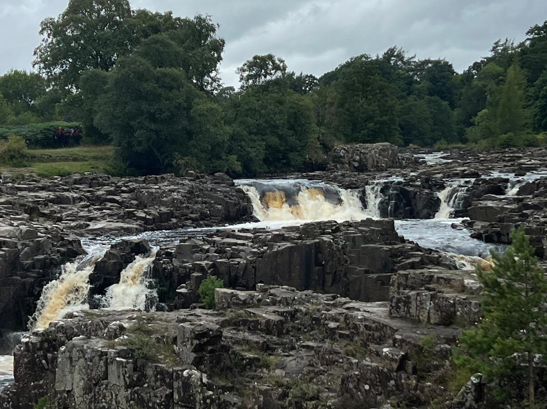 Bowlees Visitor Centre-Barnard Castle必去景点