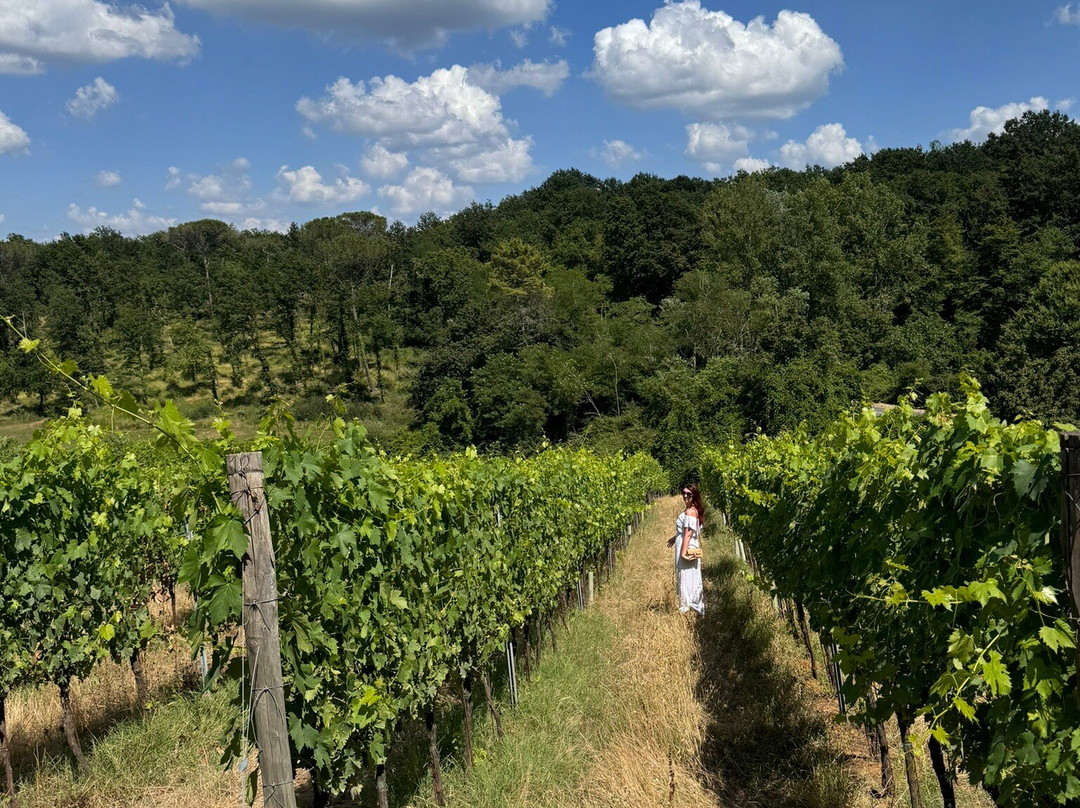 Poggio al Bosco景点图片