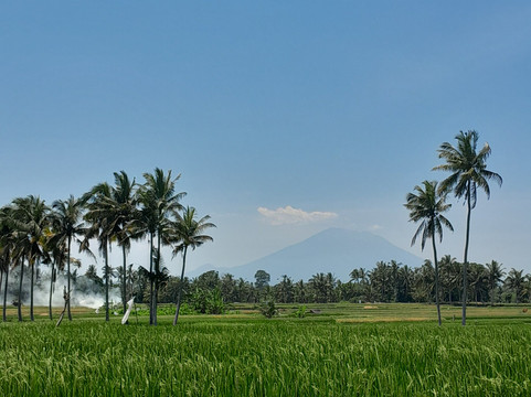 Beauty Bali Tour-吉安雅必去景点