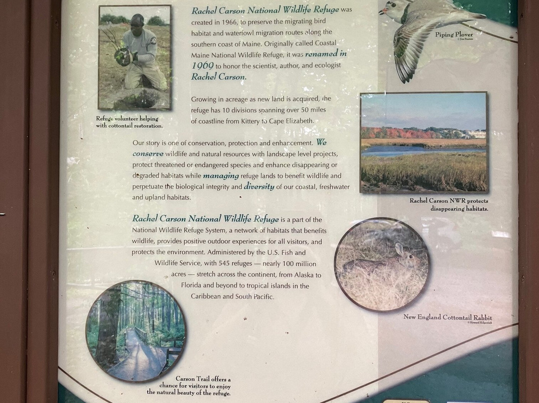 Rachel Carson National Wildlife Refuge景点图片