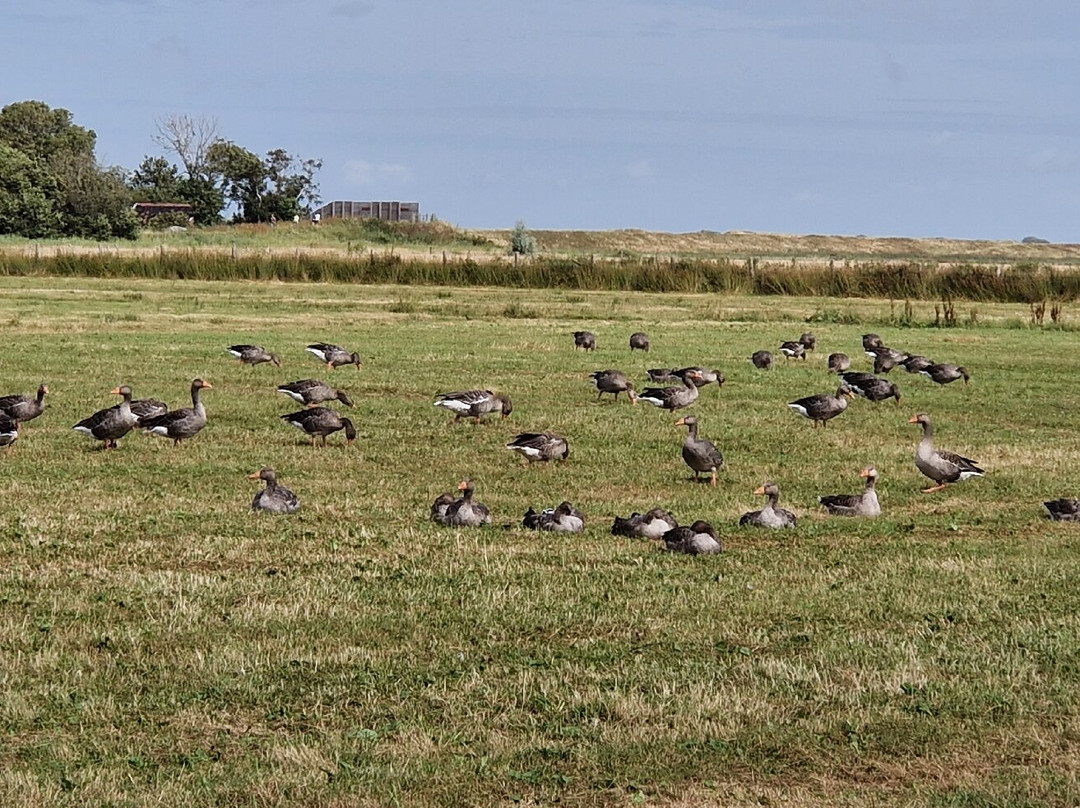 Natuurcentrum De Marel-De Waal必去景点