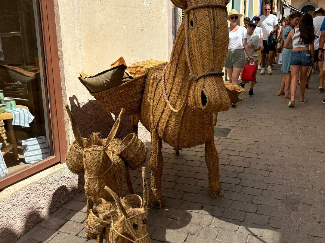 Arta Market景点图片