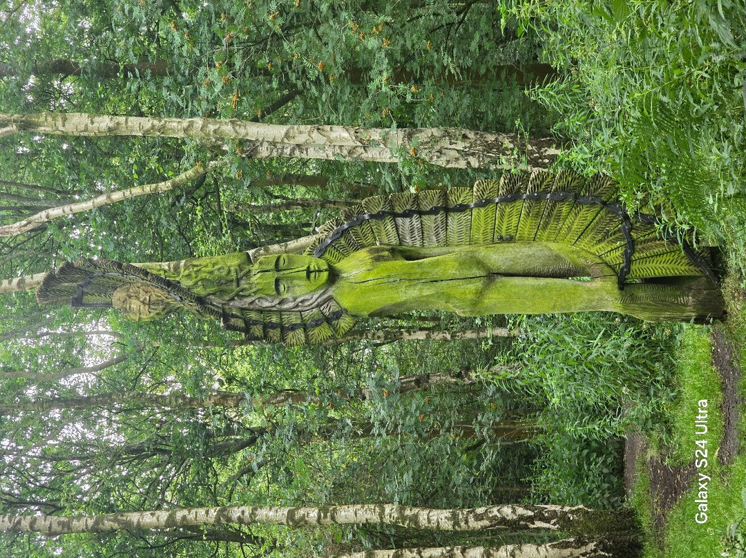 Brereton Heath Local Nature Reserve-Sandbach必去景点
