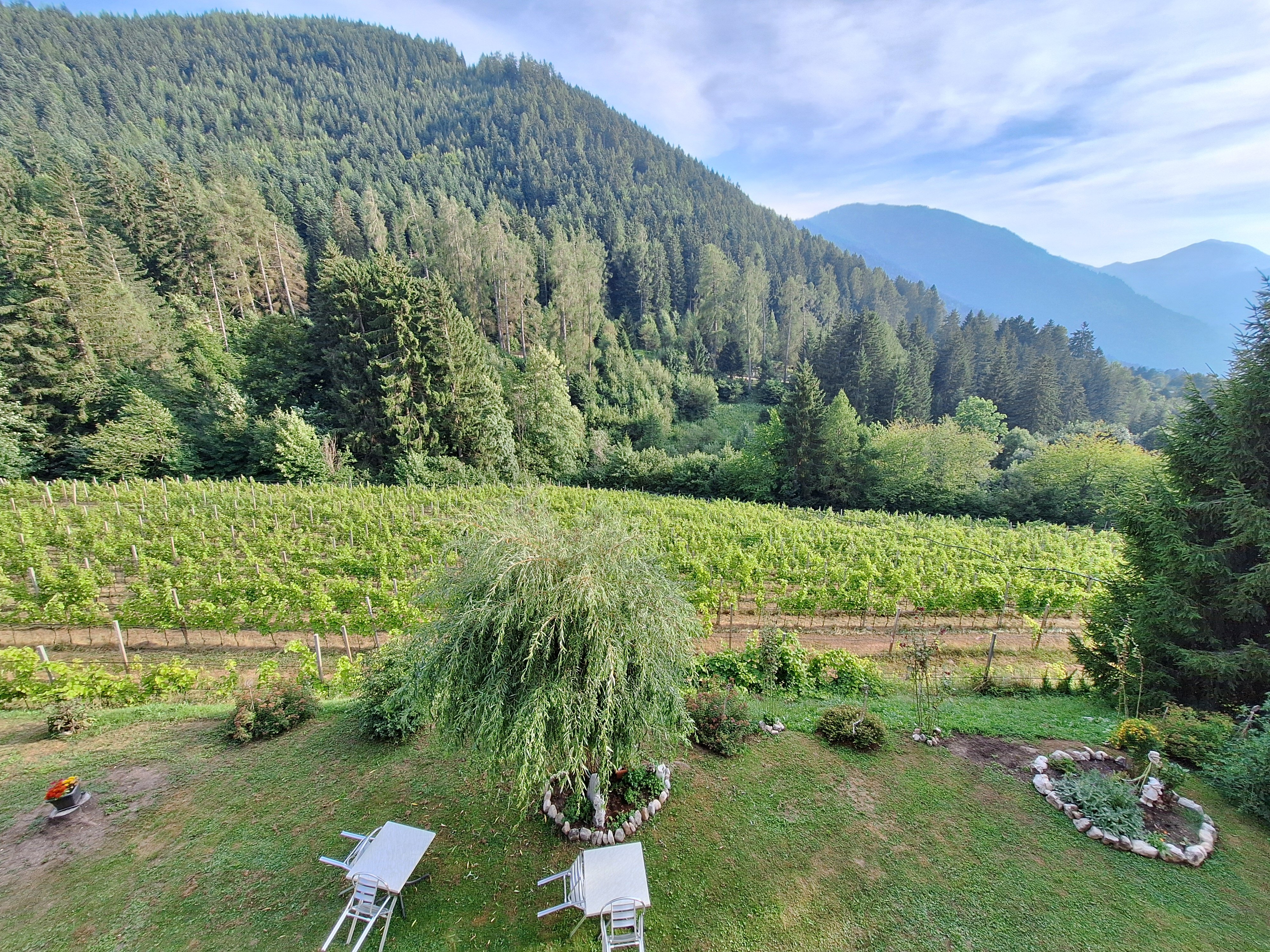 Hotel Ludwigshof & Luvina-浴室