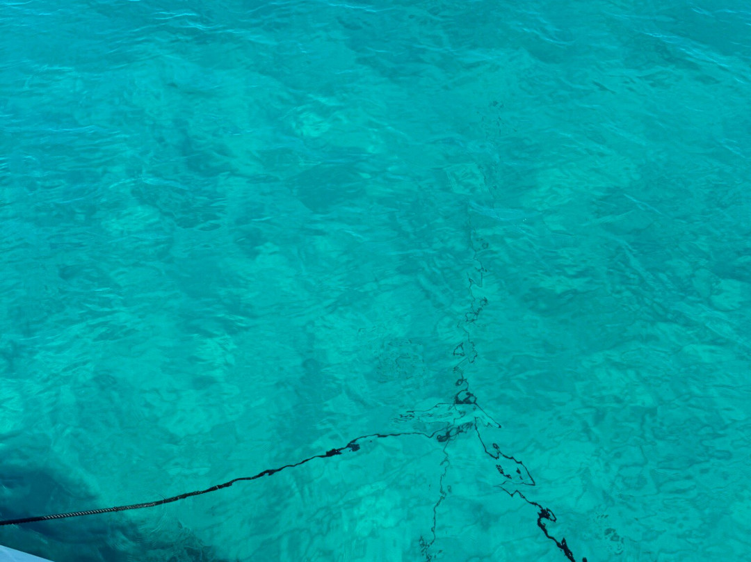 Mistral Sailing-热那亚必去景点