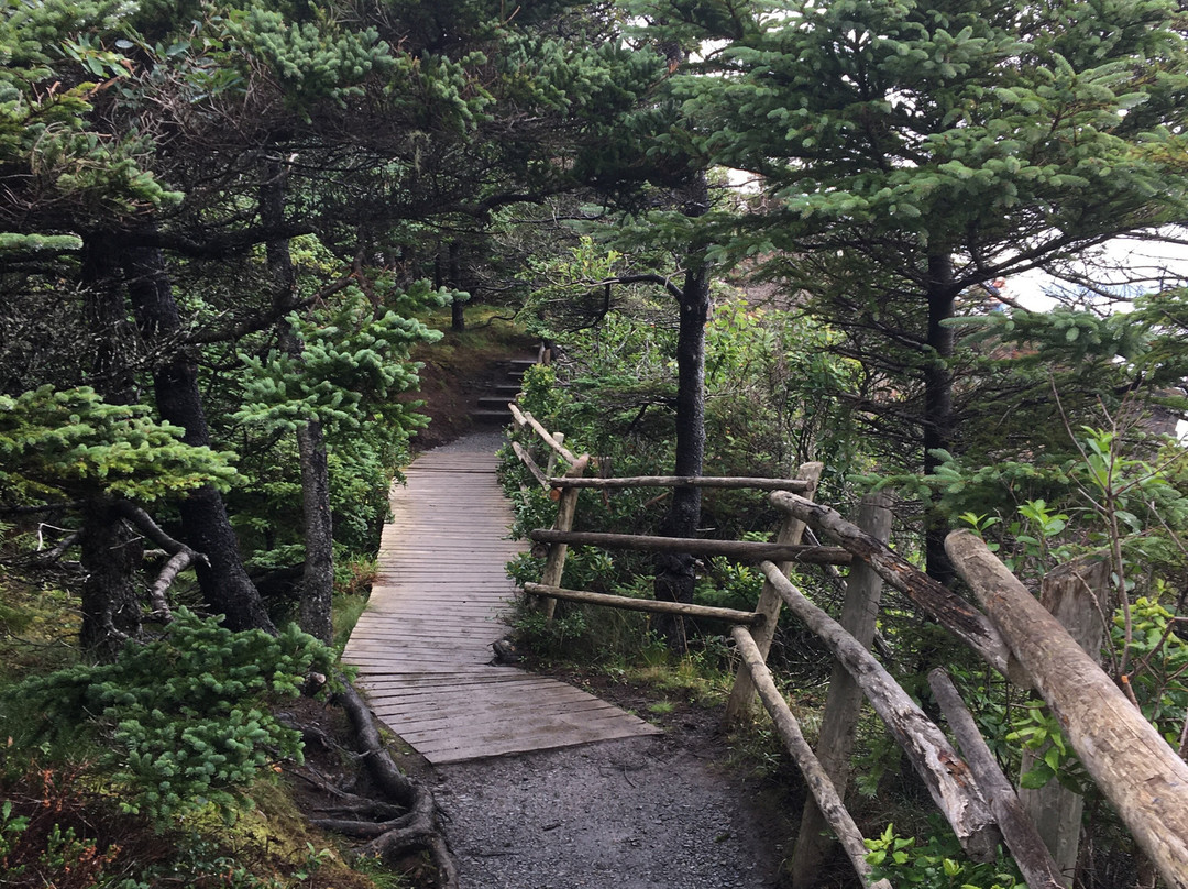 Supernova Tours Inc.-哈利法克斯必去景点