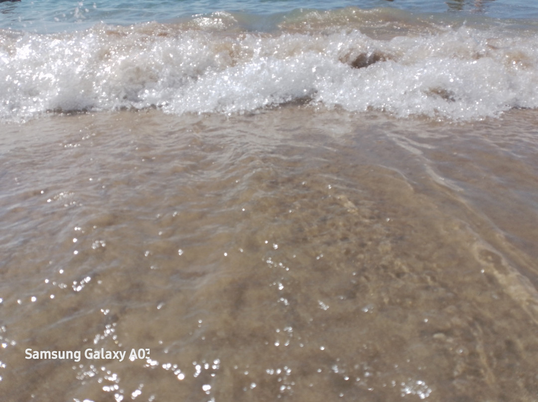 Platja d'Altafulla景点图片