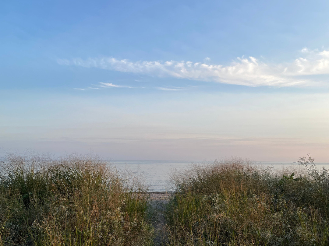 Port Stanley Main Beach景点图片