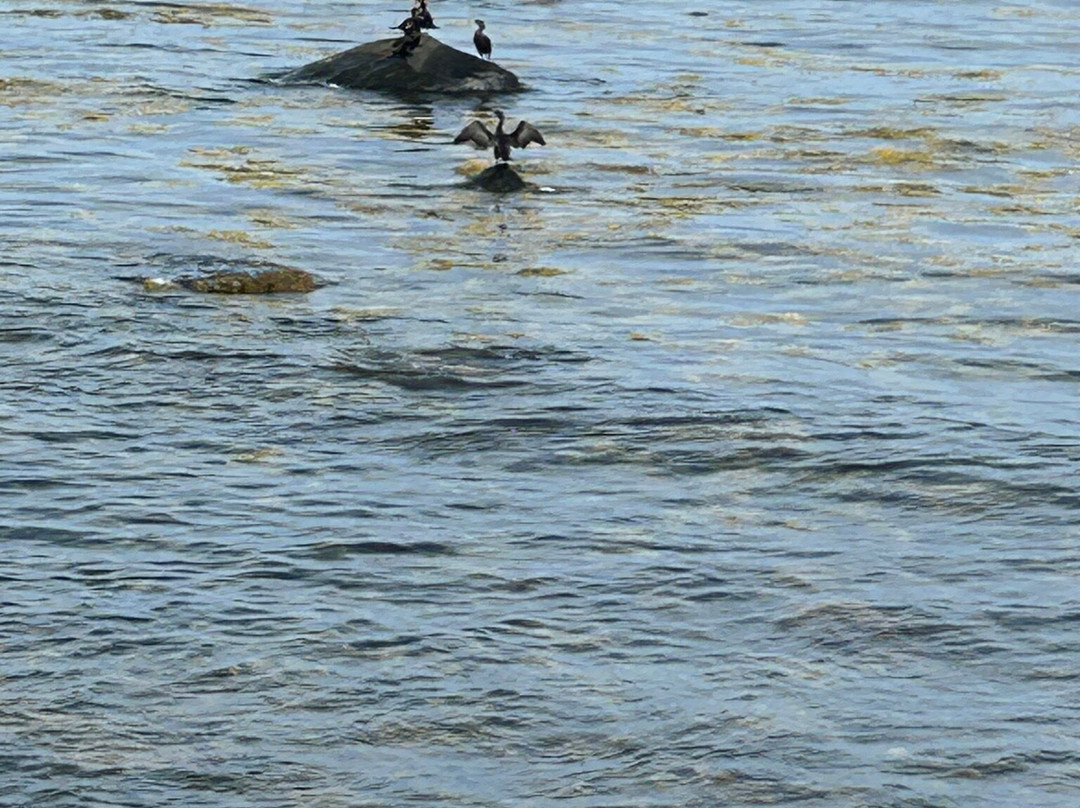 Little Boar's Head Seaside Trail-North Hampton必去景点