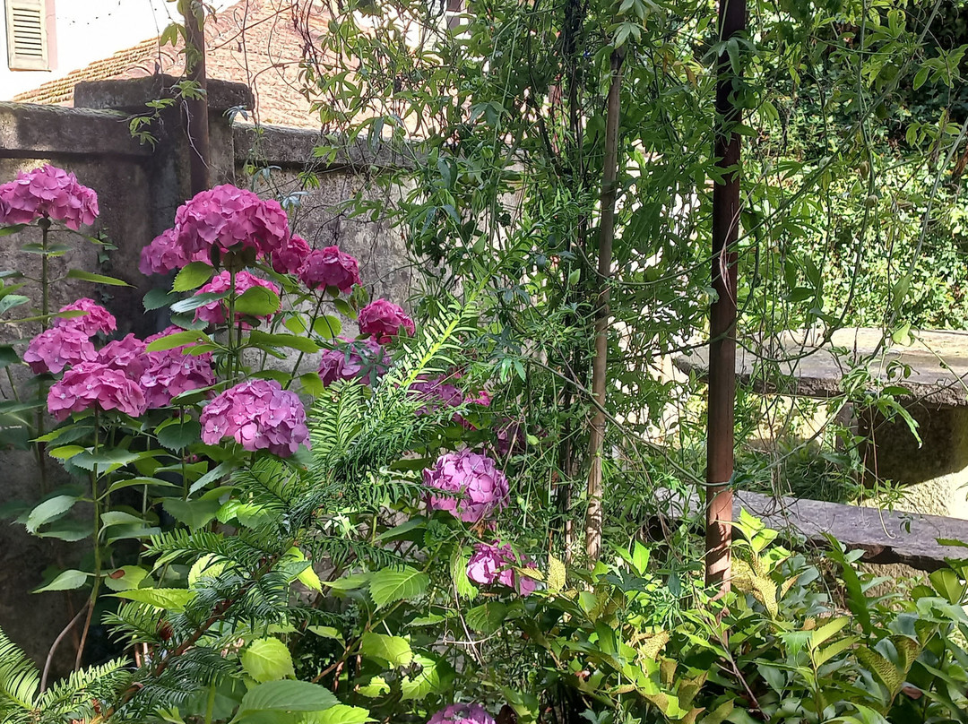B&B Villa Margherita主图