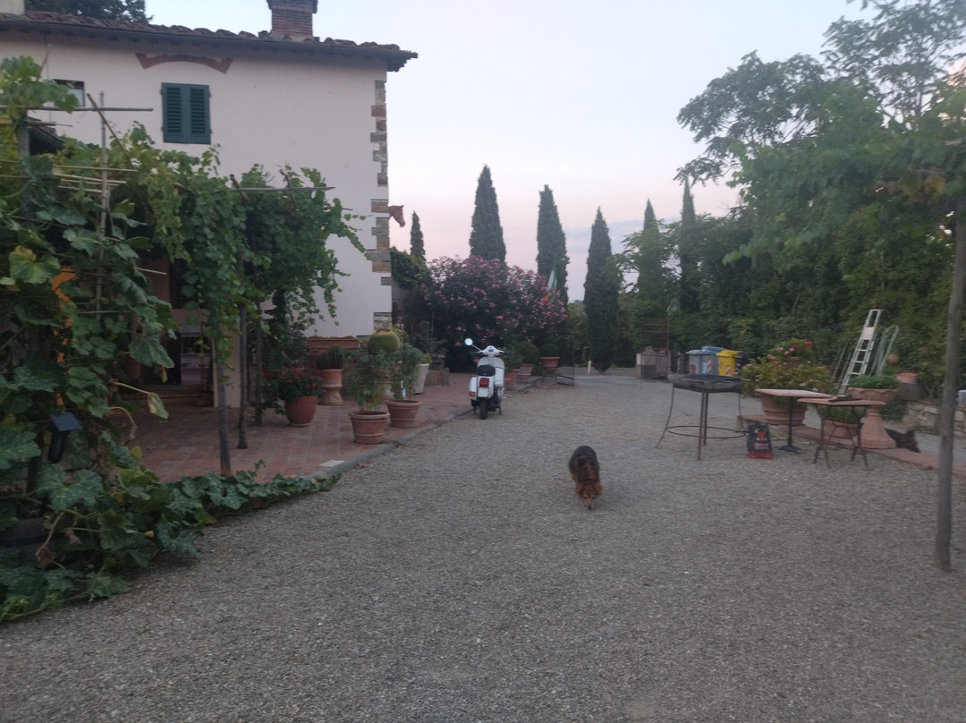 Agriturismo Olmi Grossi主图