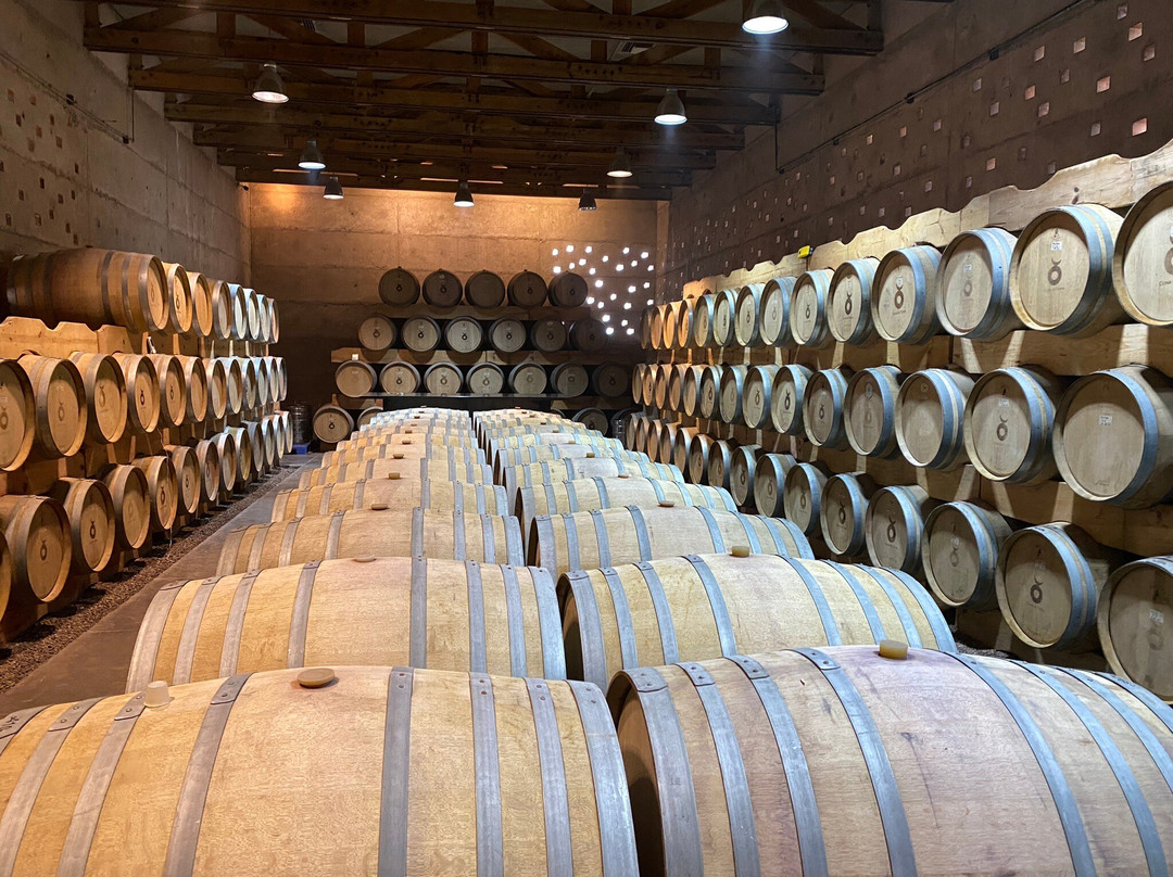 Vinedos Cuna de Tierra景点图片