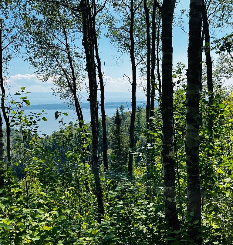 Sentier De La Forêt Marine-Saint-Joseph-de-la-Rive必去景点