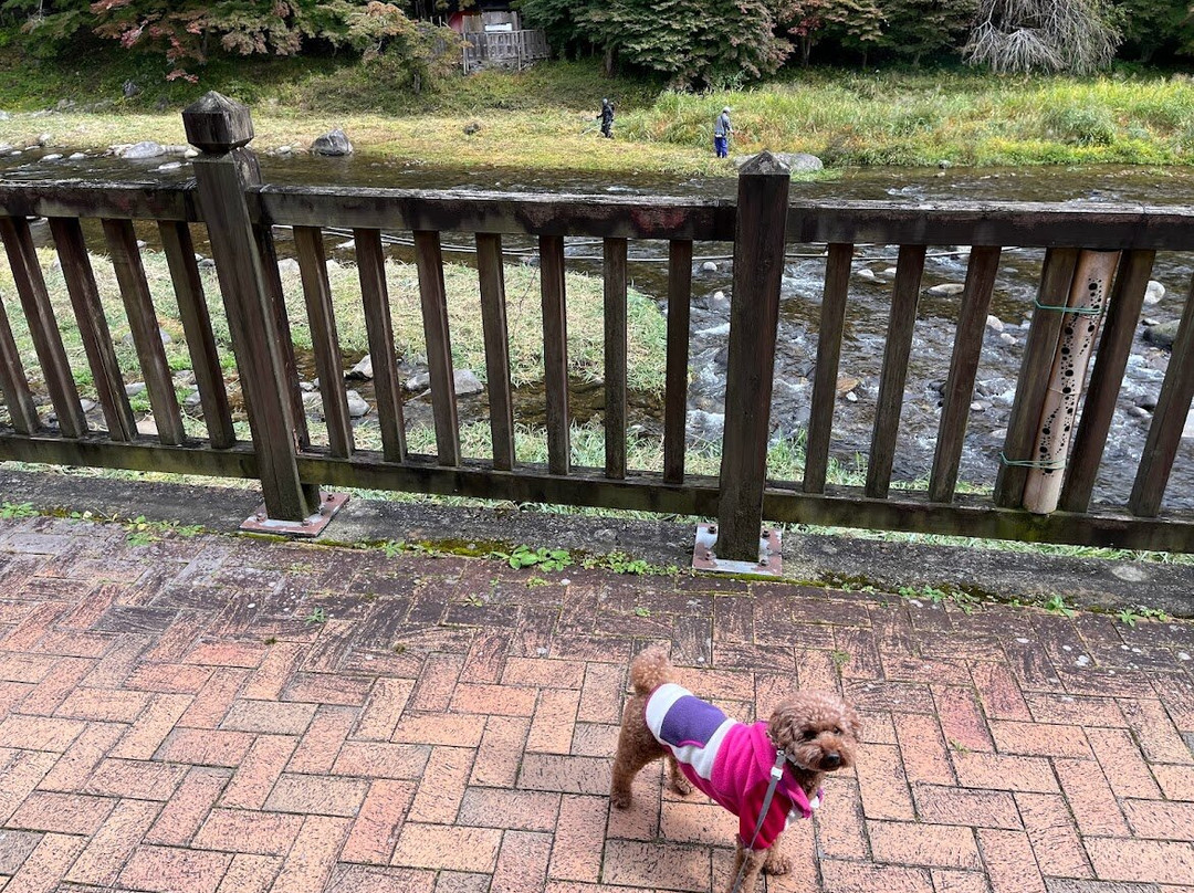 Kurenai Bridge-那须盐原市必去景点
