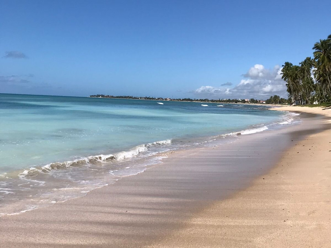 Manguezal Ecoturismo-Tamandare必去景点