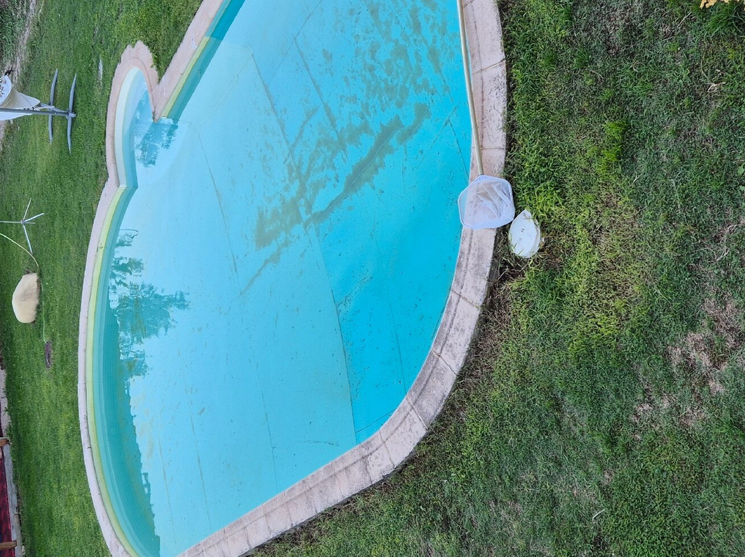 La Jayma del Arte主图