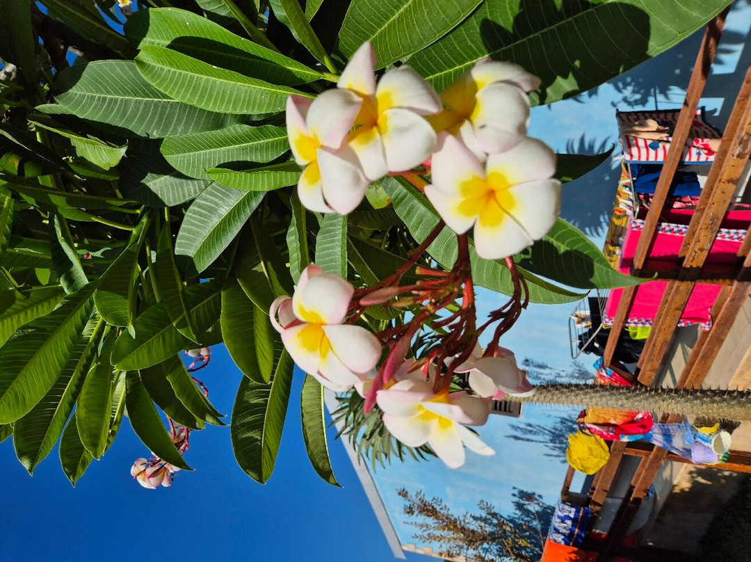 Villa Francesco主图