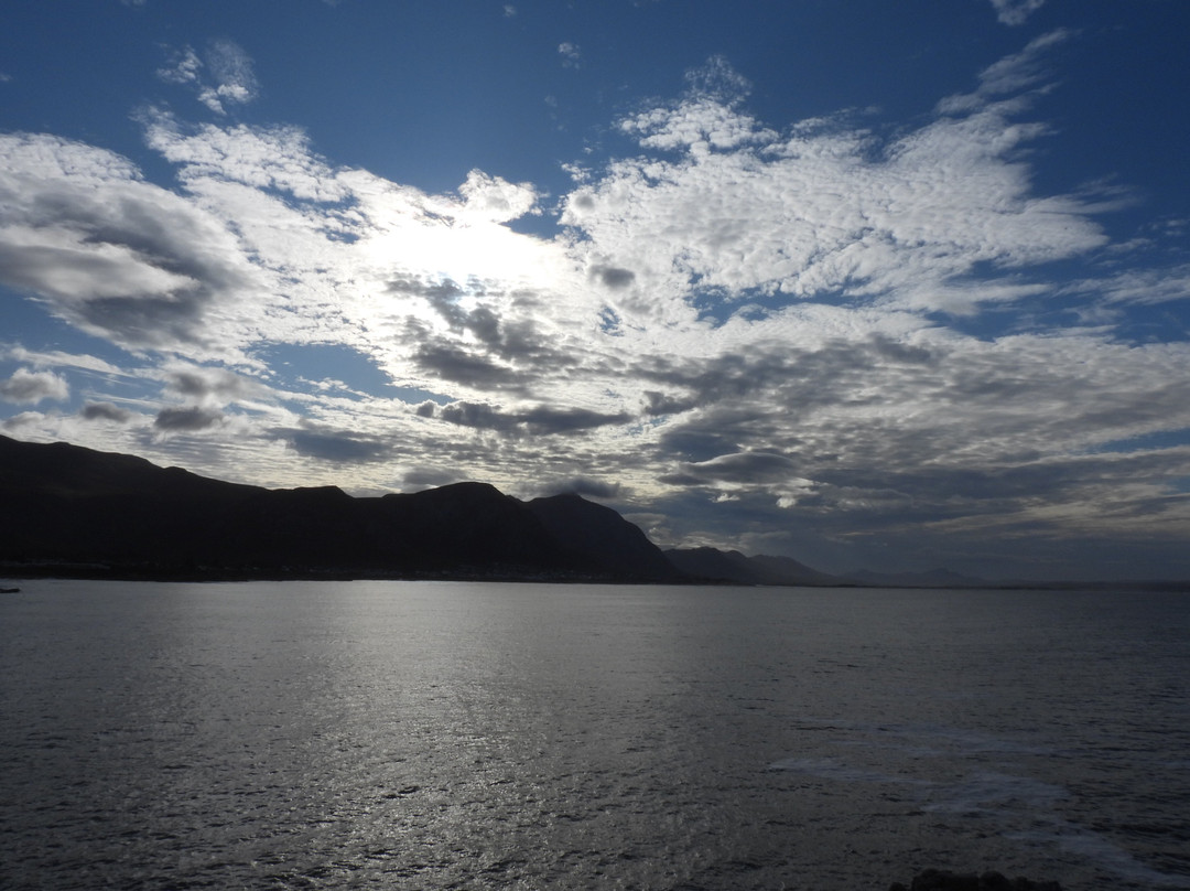Cape Whale Coast-赫曼努斯必去景点