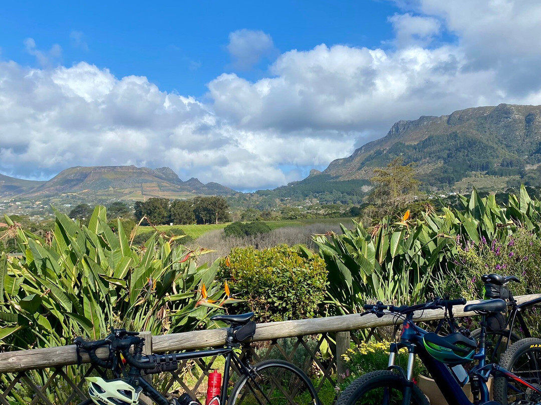 Chart Farm-开普敦中心区必去景点