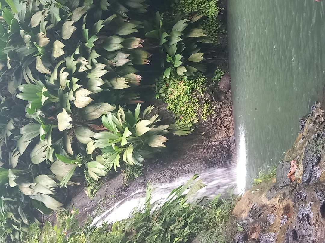 La Cascade de Bis-Sainte Rose必去景点