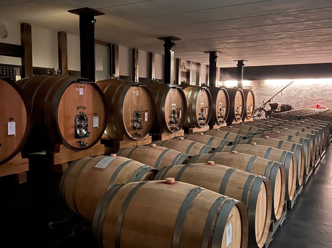 Azienda Agricola Conterno Fantino景点图片