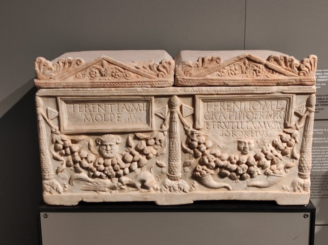 Museo Nazionale Giovanni Antonio Sanna-萨萨里省必去景点