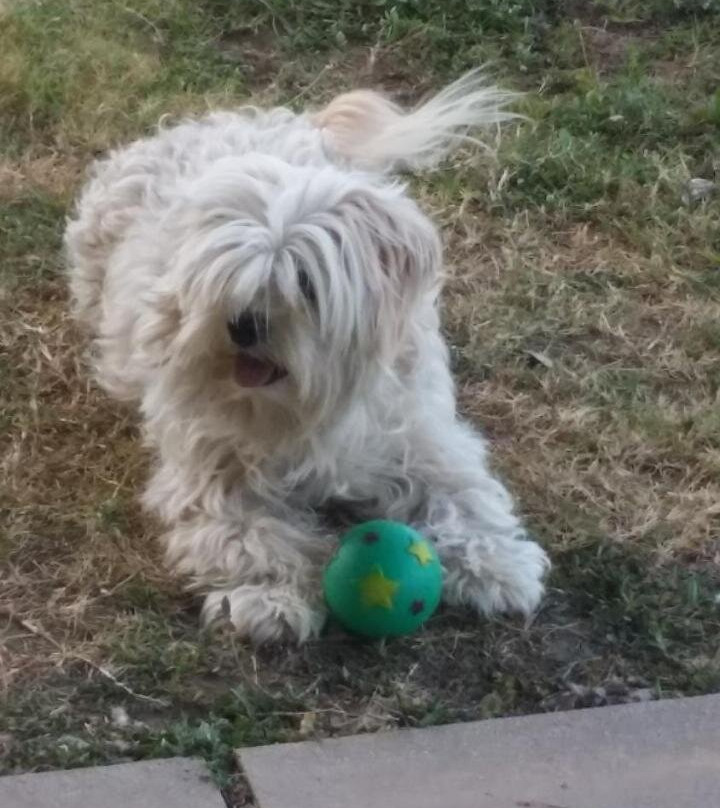 A Country View Motel - Ilbilbie主图