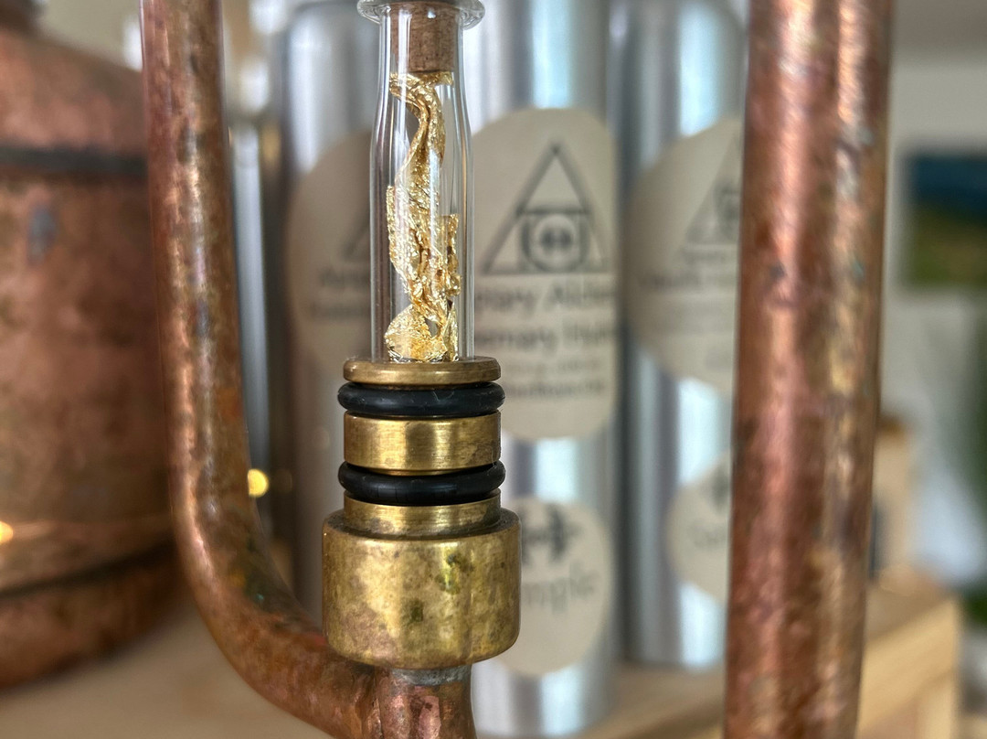 Bee Boys Bee Space-凯鲁瓦-柯纳必去景点