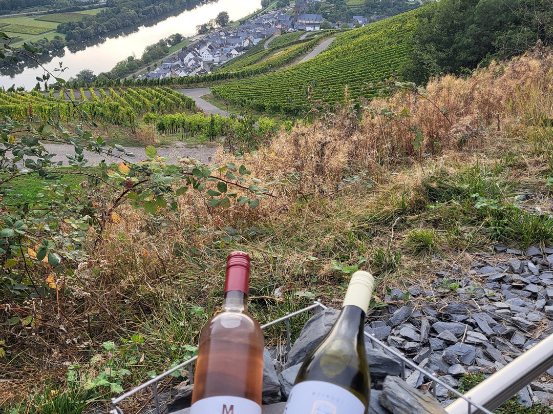 Weingut Jan Birnfeld景点图片