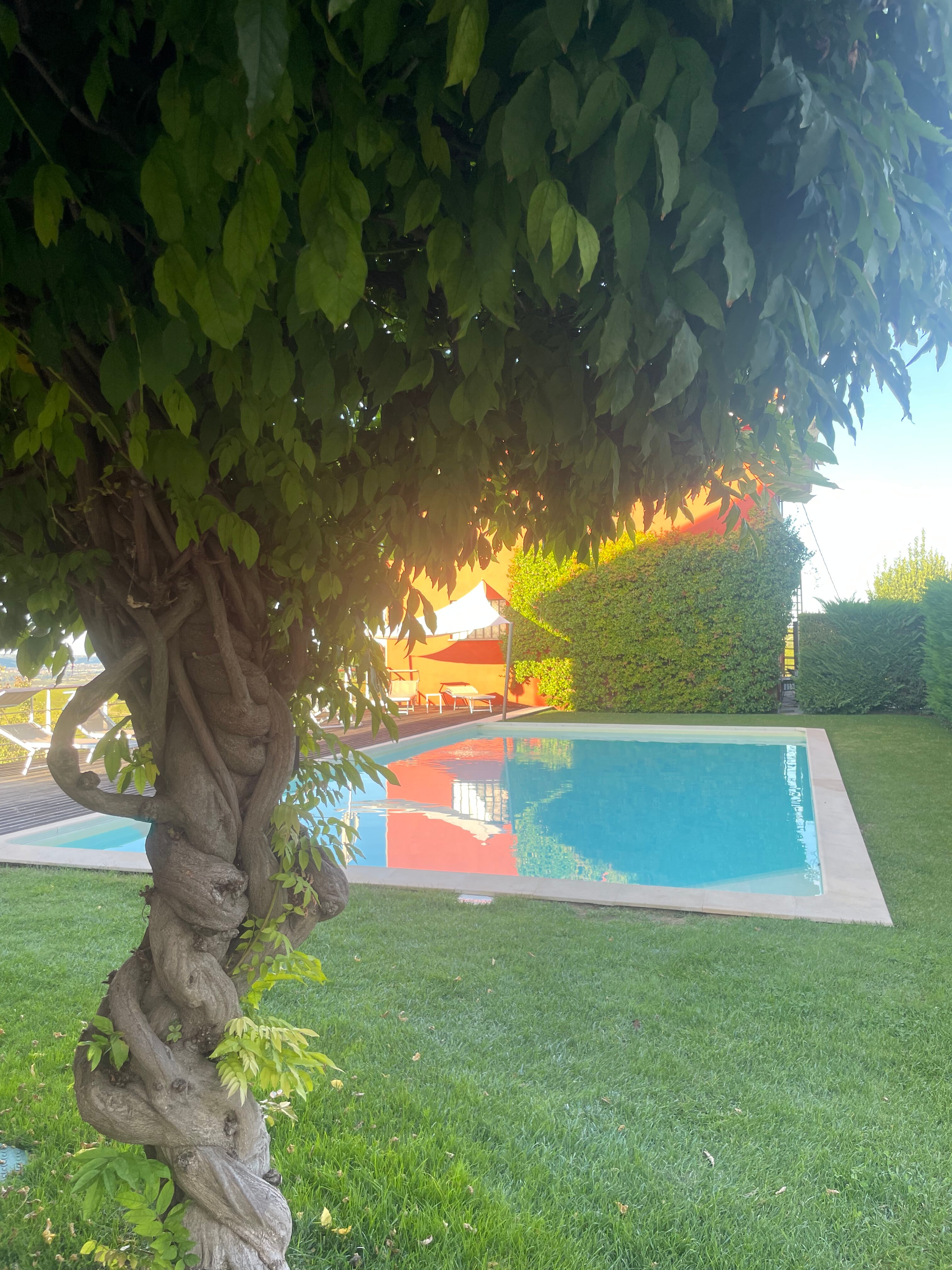Azienda Agricola Paitin-官方