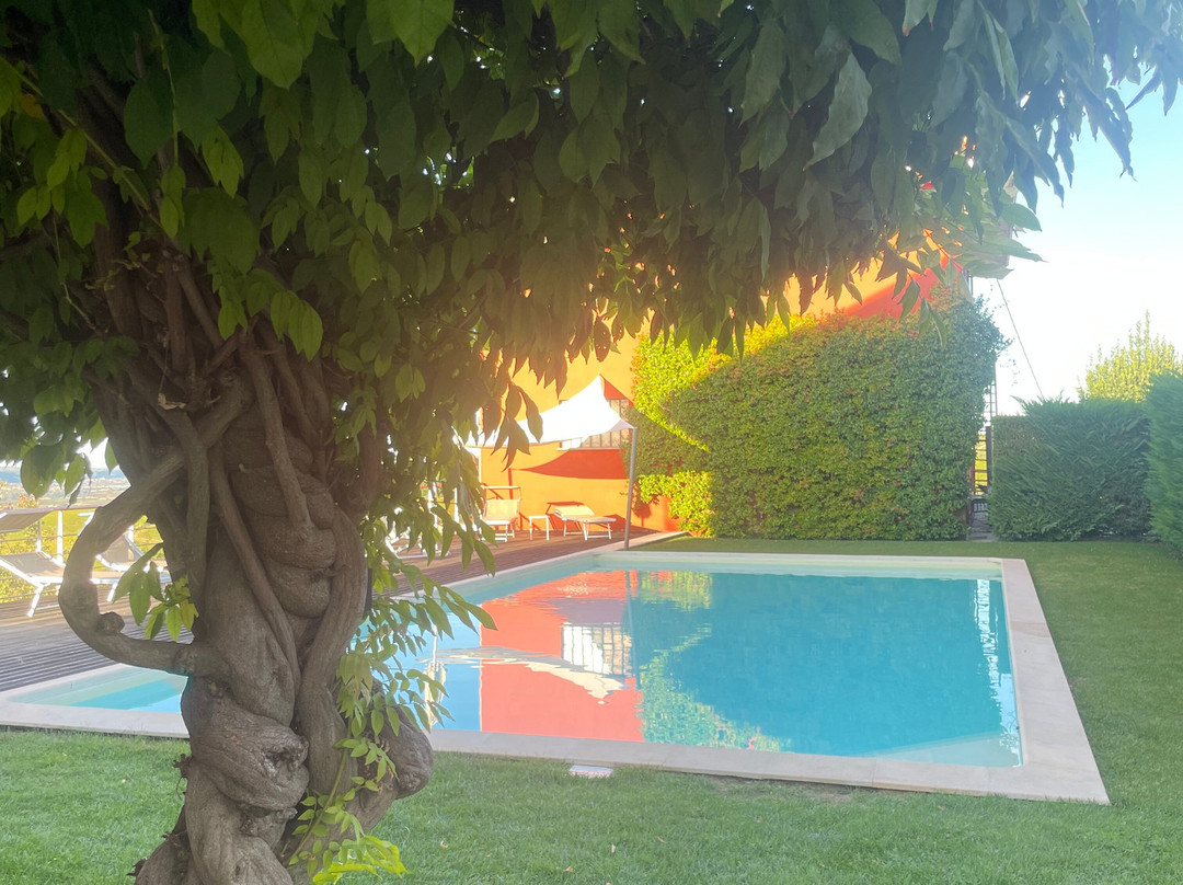 Azienda Agricola Paitin主图