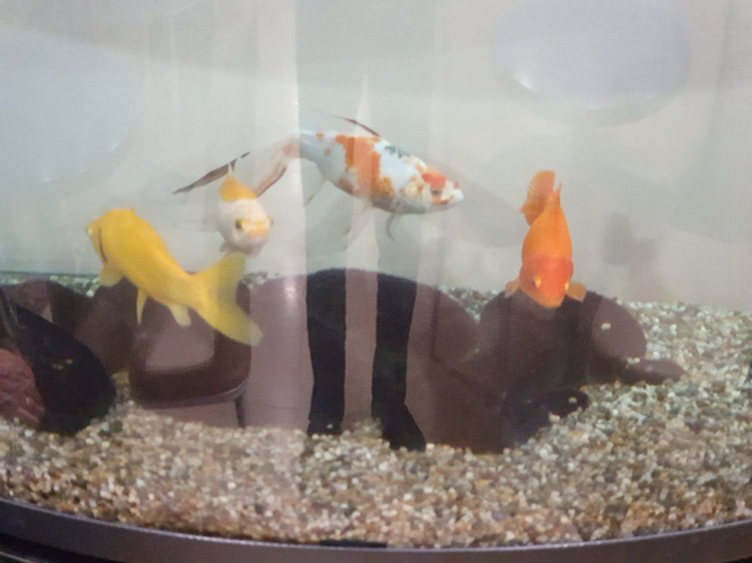 Terme Acqua Grazia主图