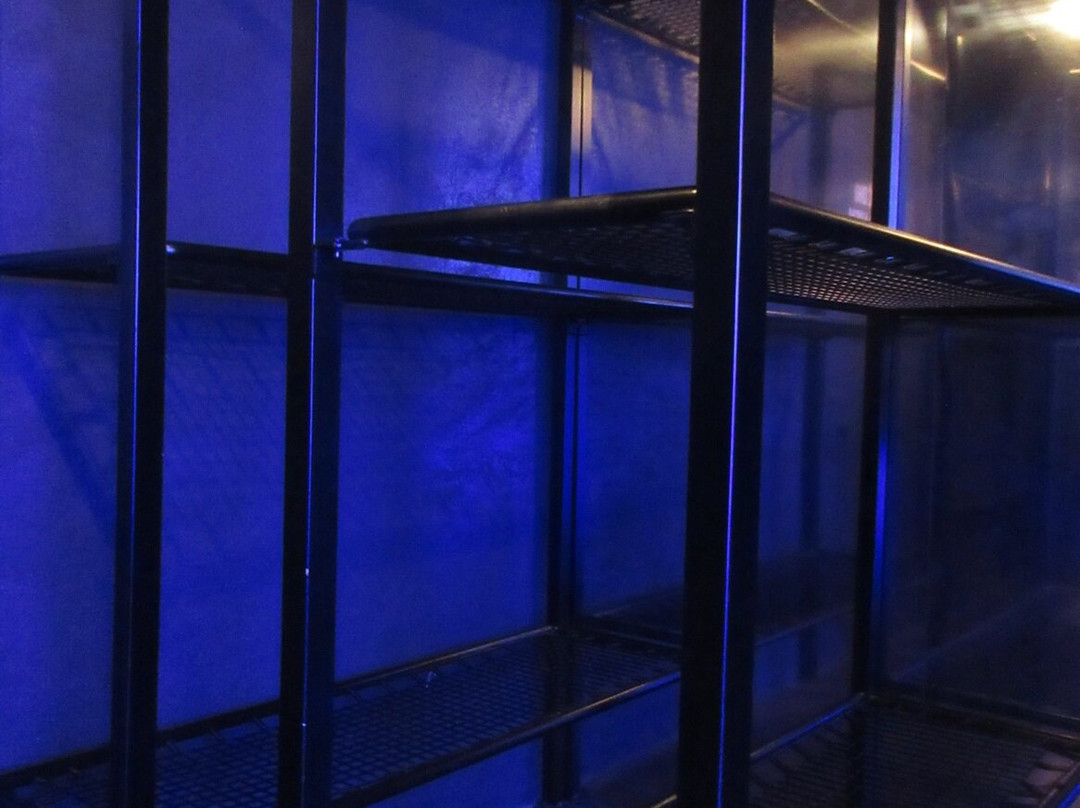 Emigration Museum in Gdynia景点图片