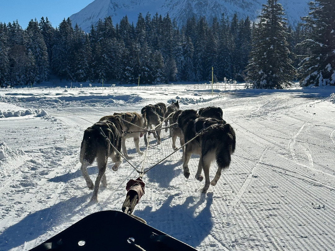 Chiens De Traîneaux Chamrousse-尚鲁斯必去景点