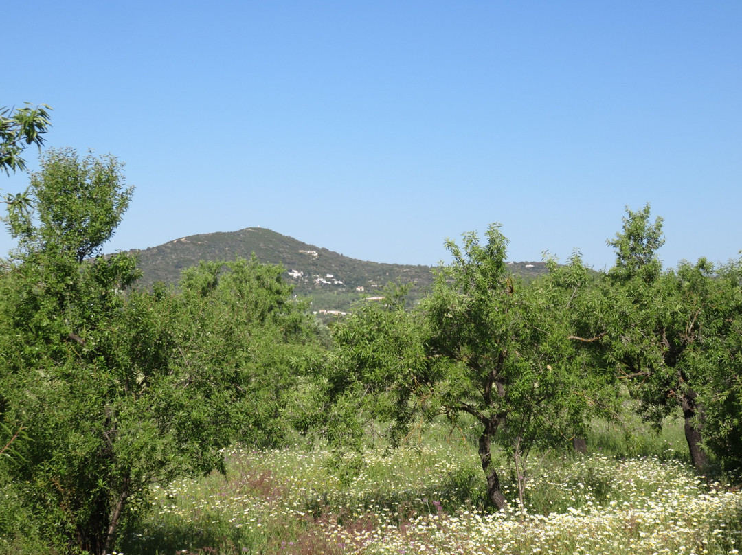 Pousada Palacio Estoi主图