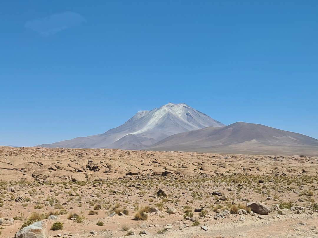 Encanto del SUD Tour Operator-Tupiza必去景点