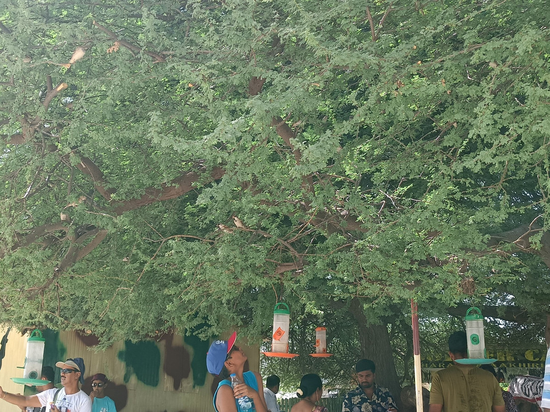 Rajasthan Pari Tours-斋蒲尔必去景点