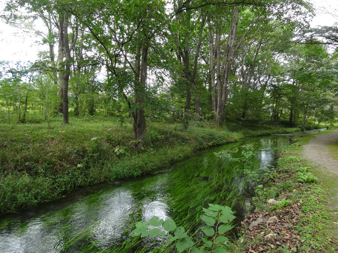 六花之森-中札内村必去景点