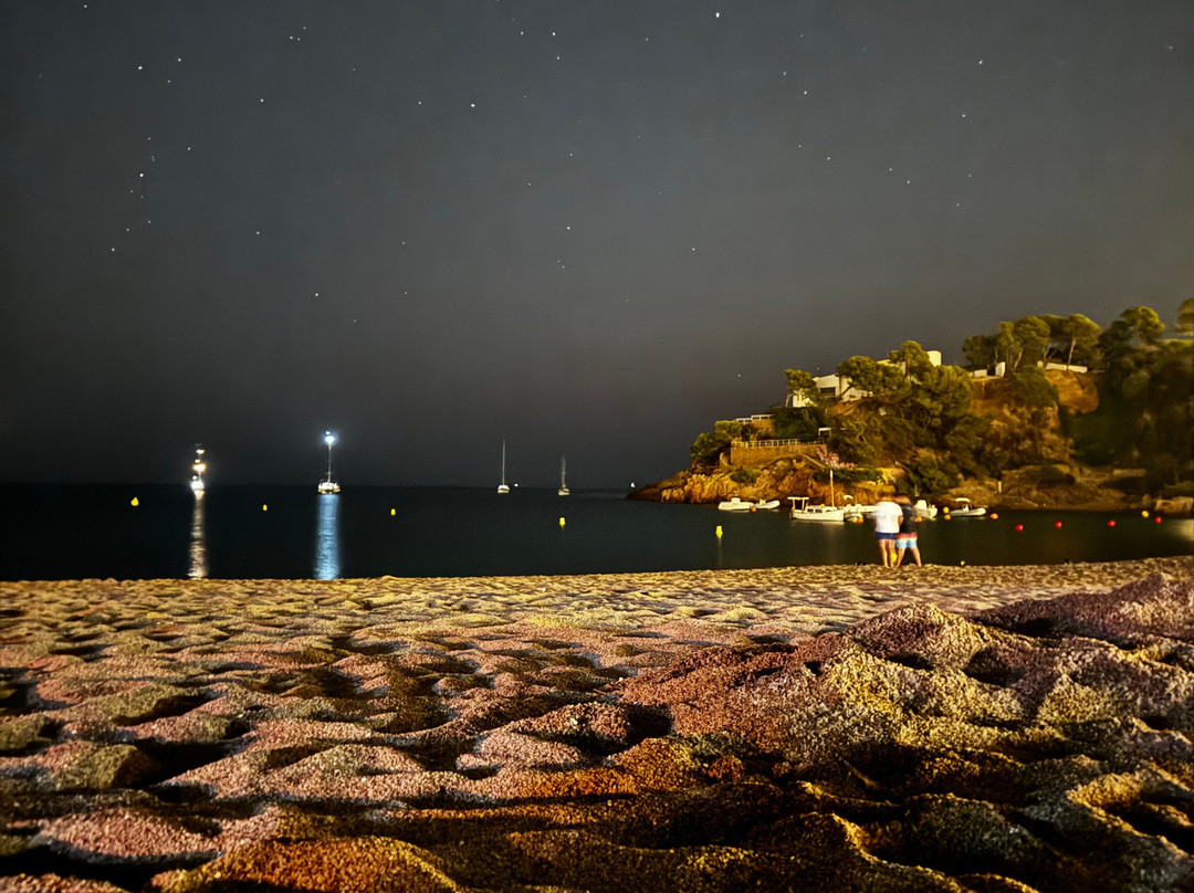 Playa Sa Riera景点图片