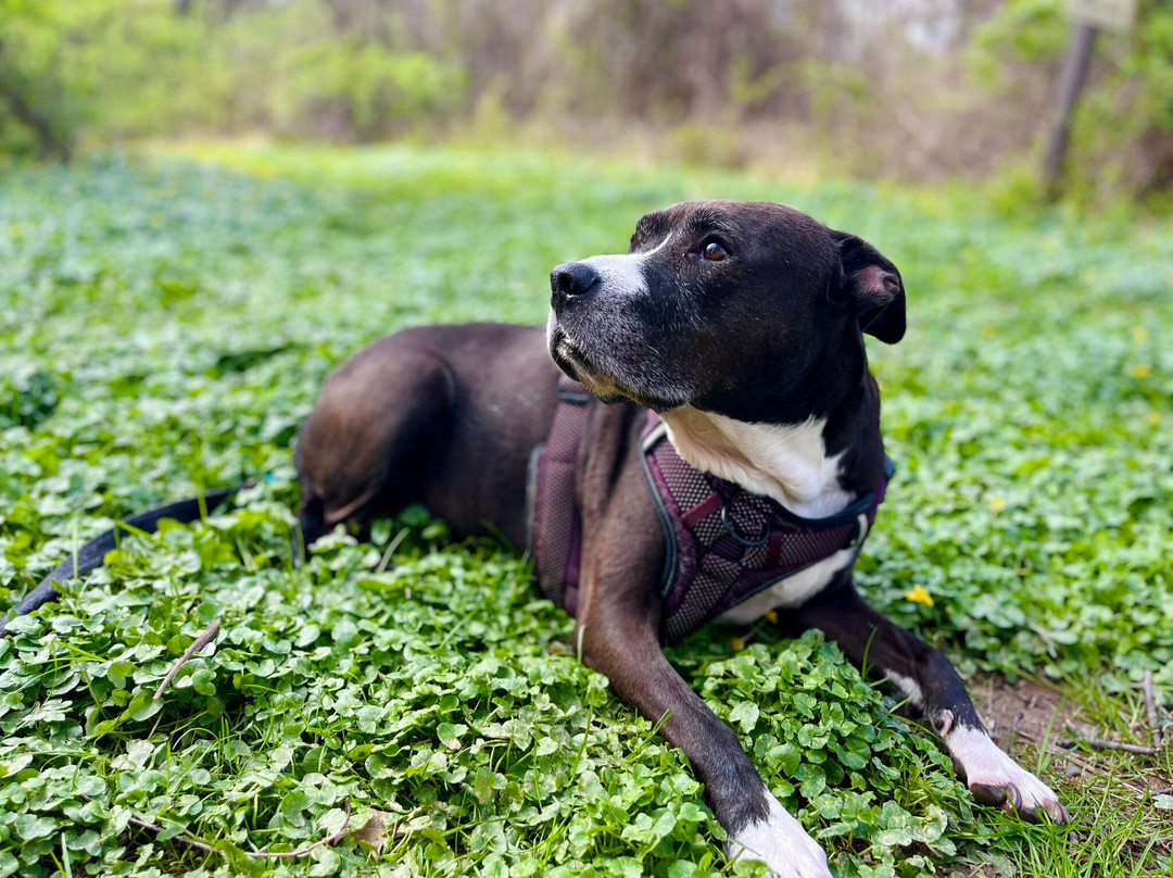Cincinnati Nature Center-Milford必去景点