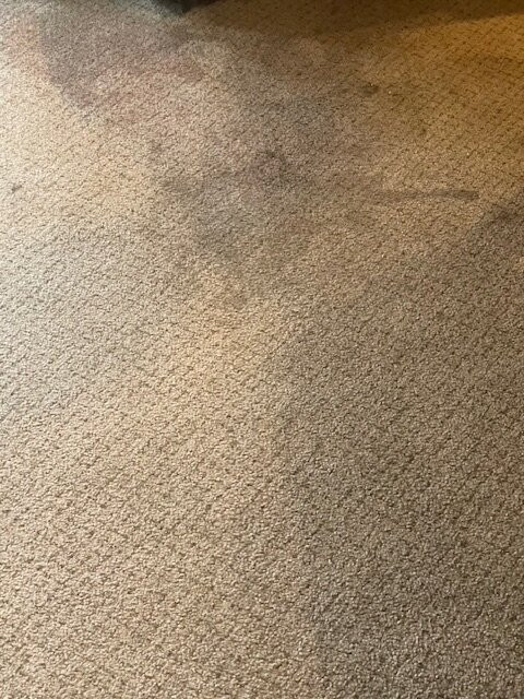 The Shores at Lake Travis主图