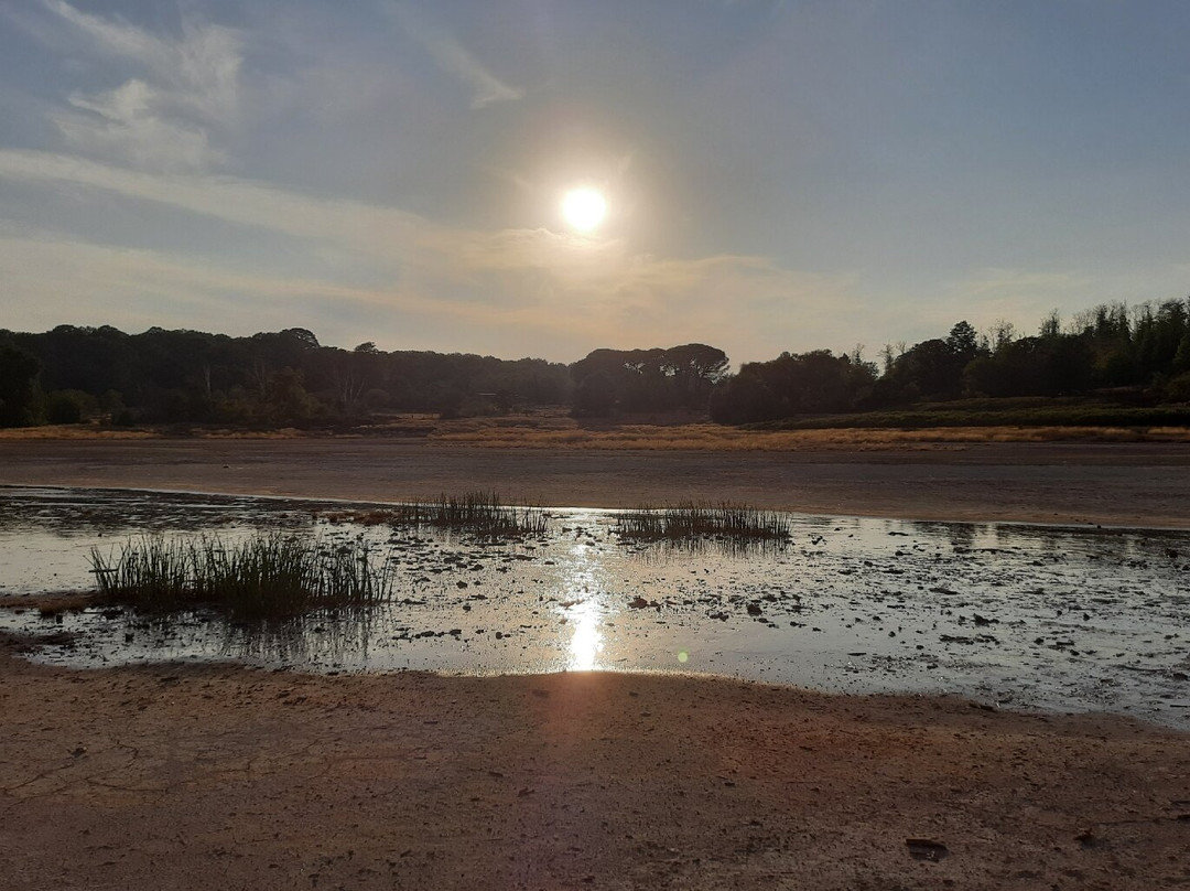 Monumento Naturale Caldara di Manziana-Manziana必去景点
